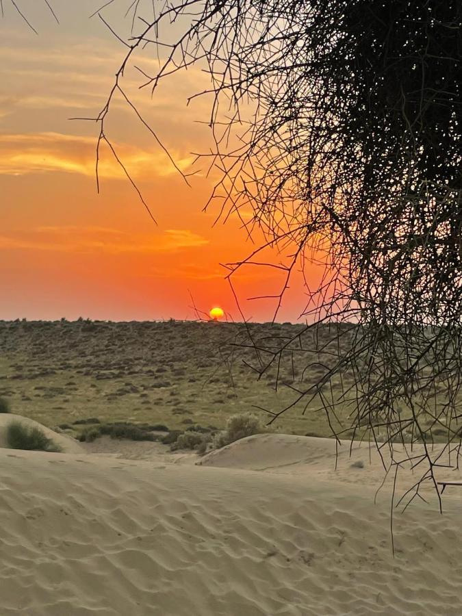 Kings Villa Jaisalmer Εξωτερικό φωτογραφία